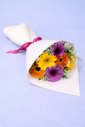 Ramo 6 gerberas