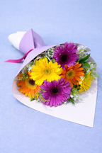 Ramo 6 gerberas