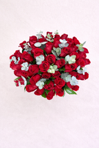 Florero 50 rosas