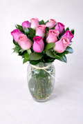 Florero 12 rosas