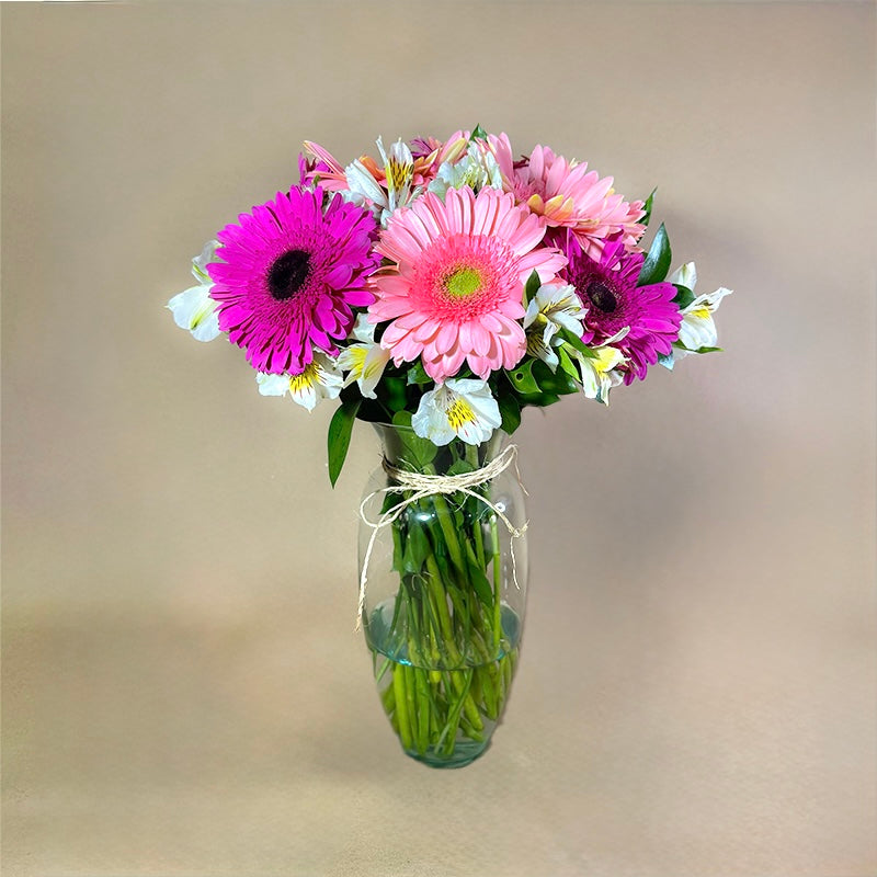 Arreglo de 12 gerberas rosas y fucsia con astromelia
