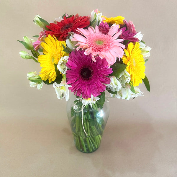 Arreglo de 12 gerberas coloridas con astromelia